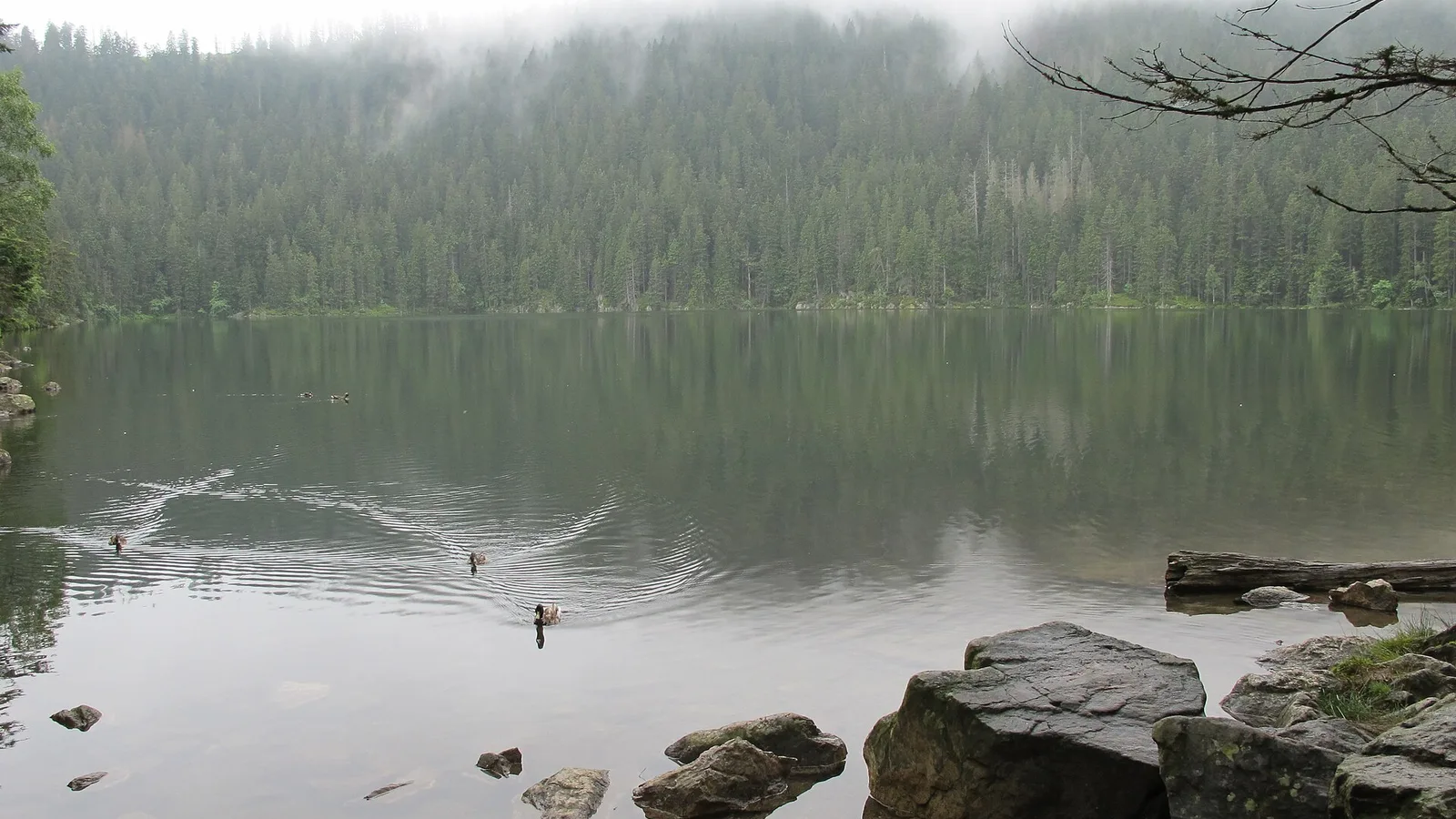 Čertovo jezero s balvany na břehu a mlhou nad lesem