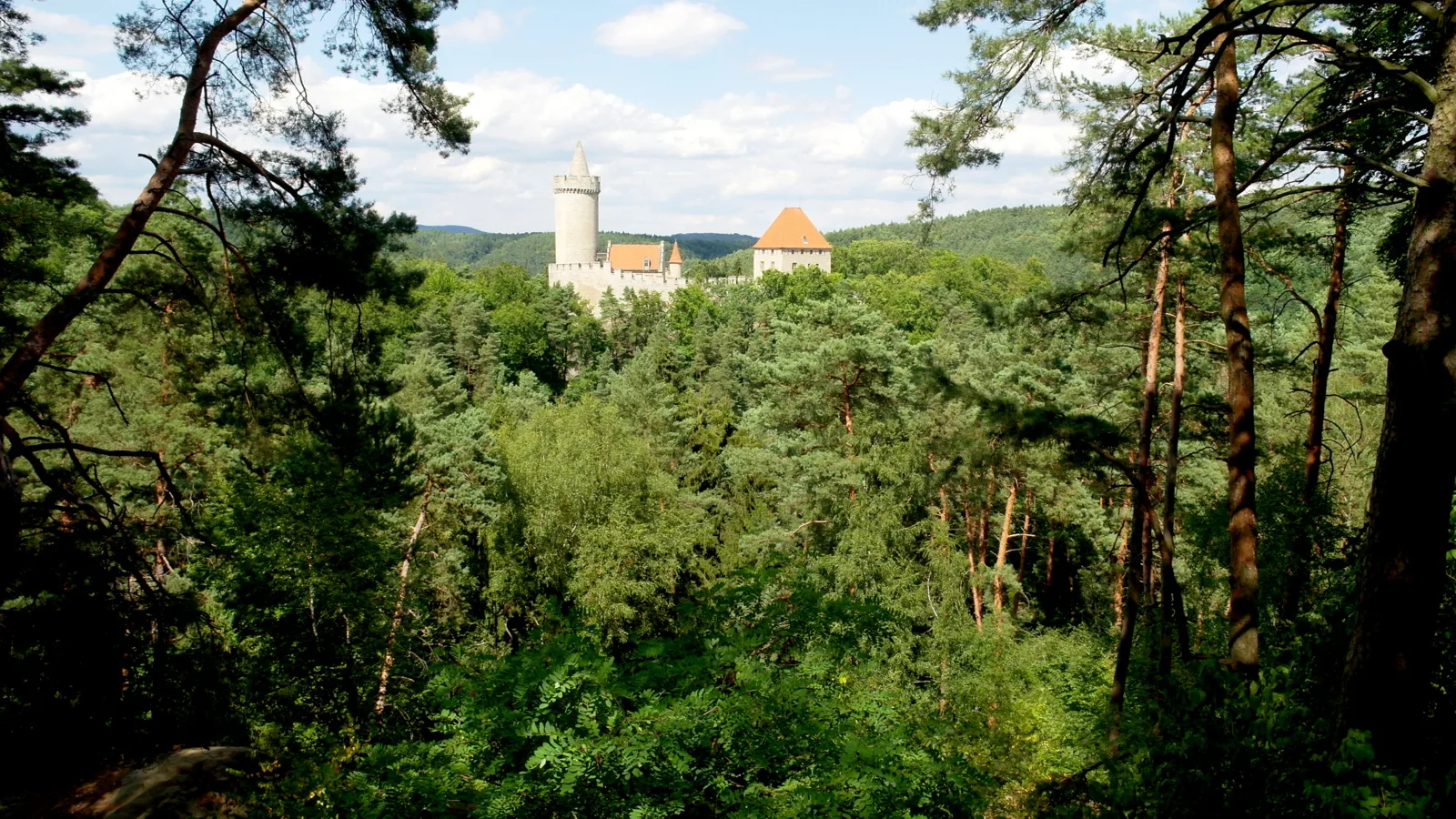 Hrad Kokořín při pohledu z lesa nad Kokořínským dolem