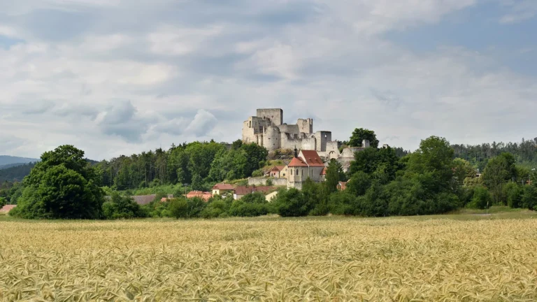 Zřícenina hradu Rabí nad obcí a obilným polem