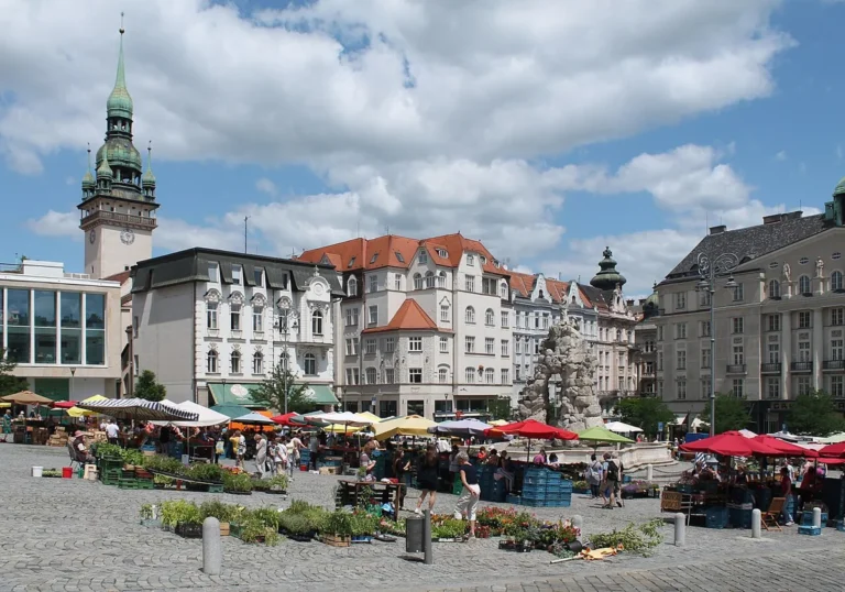 Zelný trh v historickém centru Brna