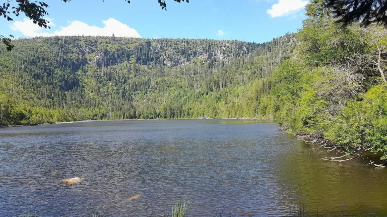Plešné jezero pod skalní stěnou na Šumavě