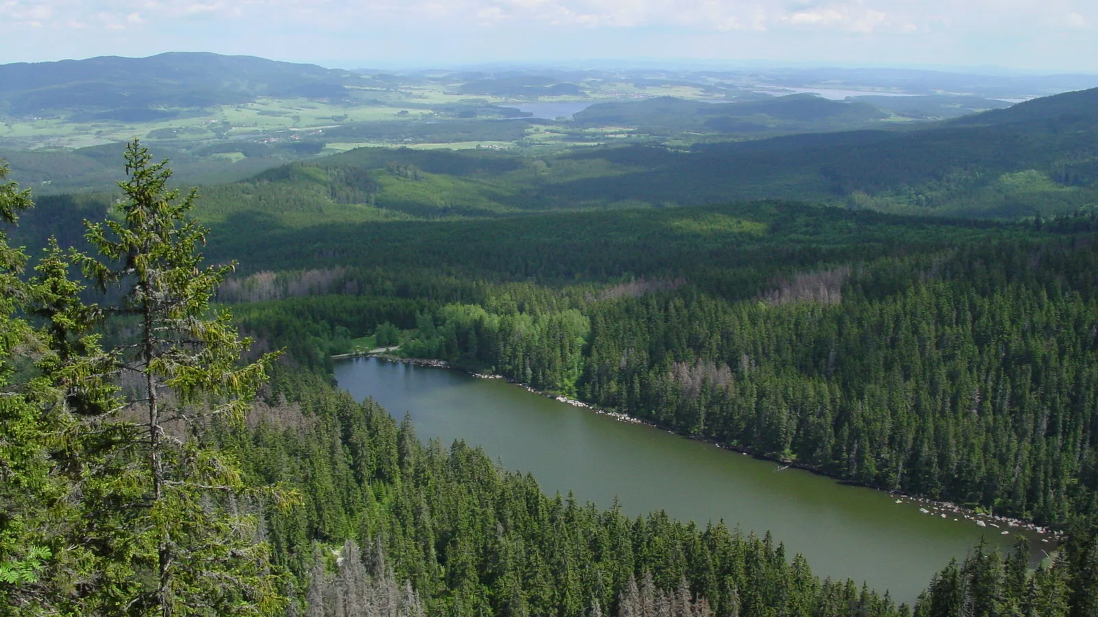 Výhled na Plešné jezero a šumavské lesy z výšky