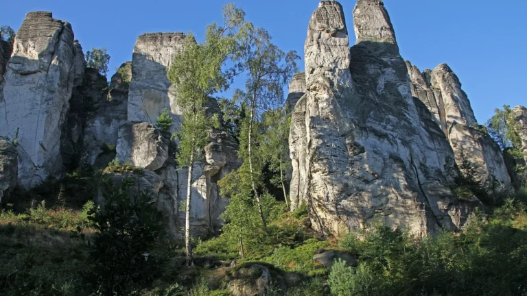Pískovcové skalní věže Prachovských skal nad lesem
