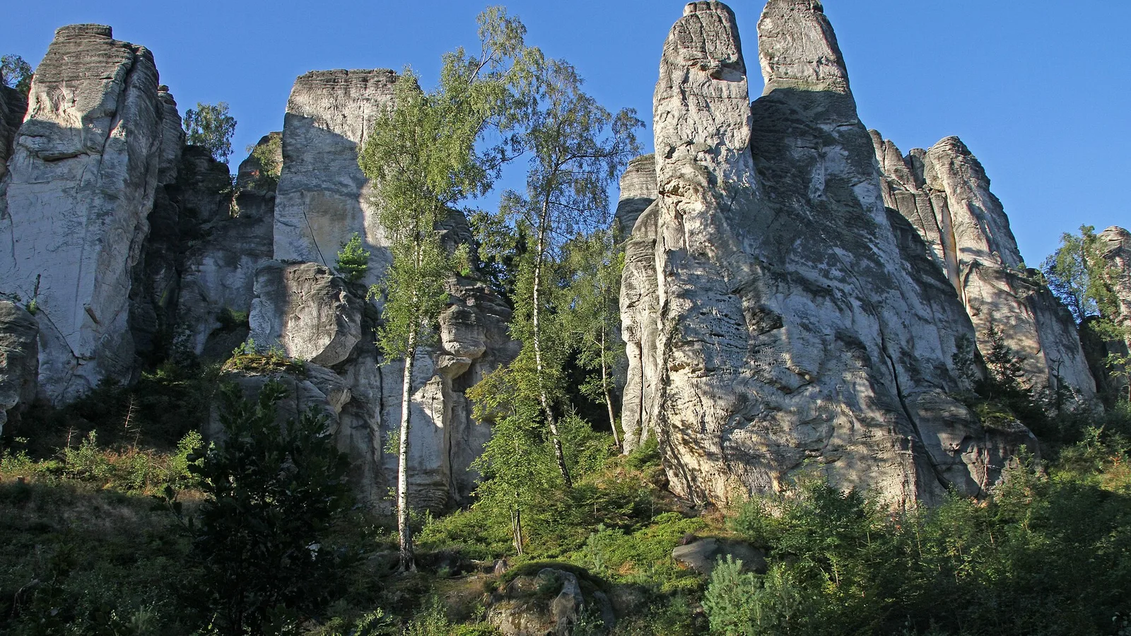 Pískovcové skalní věže Prachovských skal nad lesem