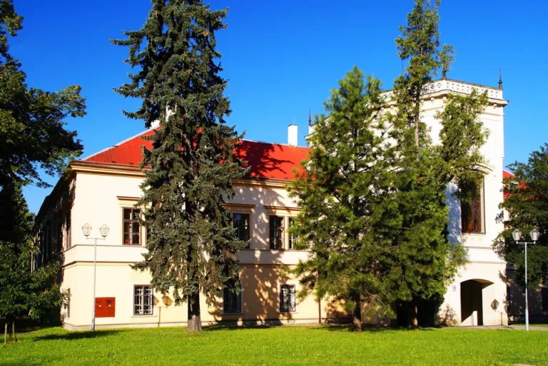 Zámecká budova v Chocni s červenou střechou a stromy před průčelím.