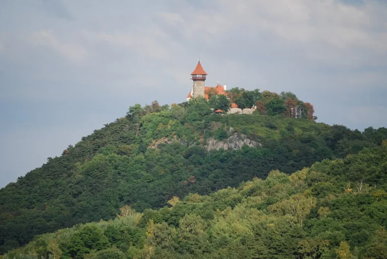 Hrad Hněvín na zalesněném kopci nad Mostem